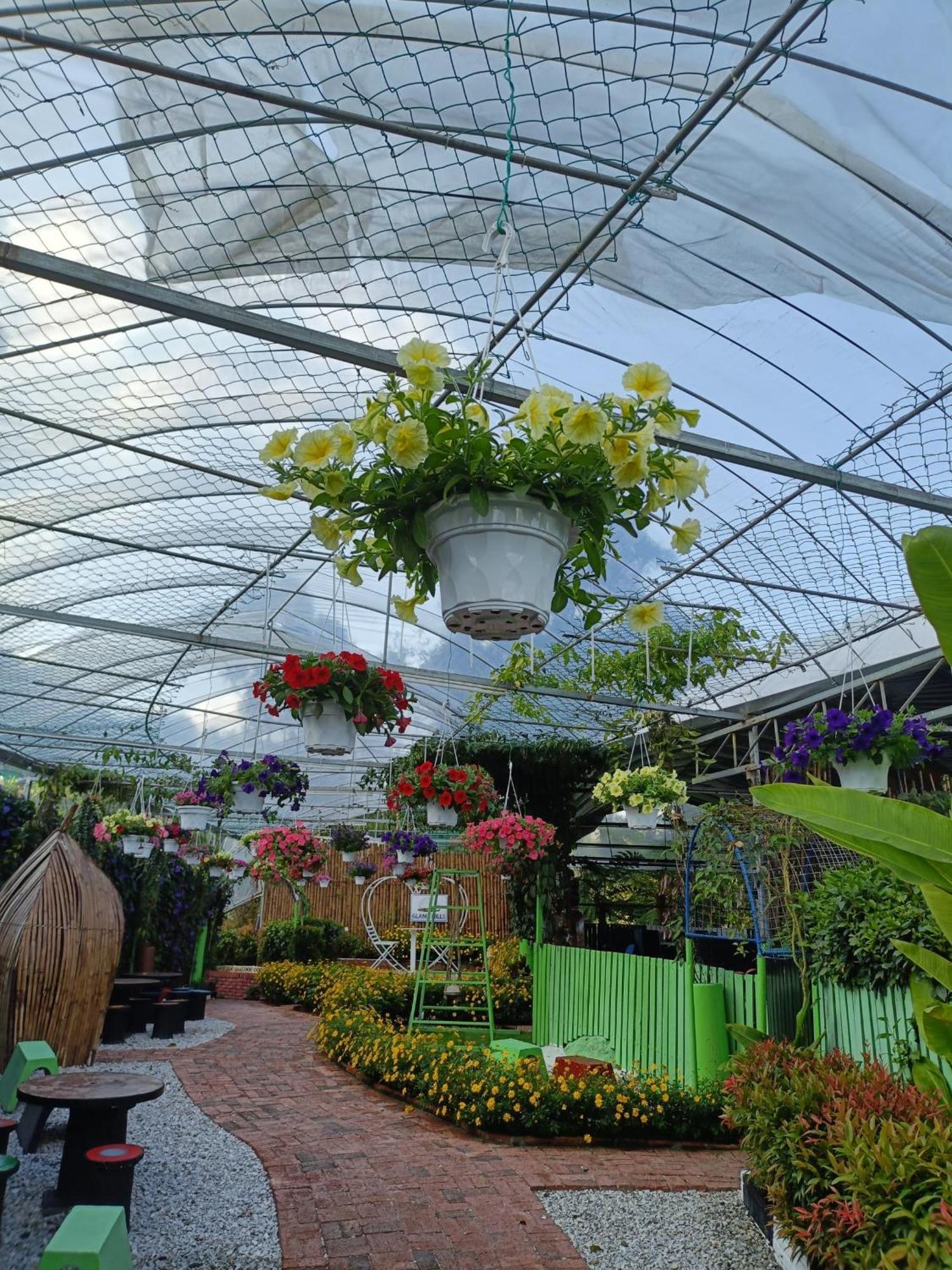 Glamz Hills Cameron Highlands Exterior foto